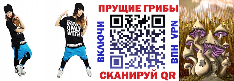 Галлюциногенные грибы Psilocybe Шацк
