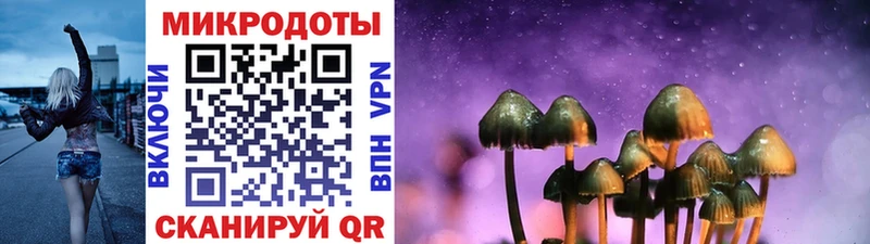 kraken вход  Шацк  Псилоцибиновые грибы Psilocybe 